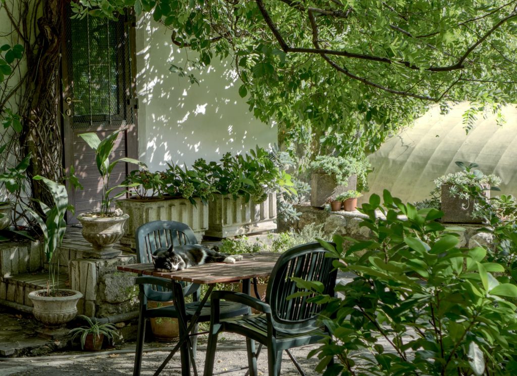 simplenotsimple_motherhood_garden