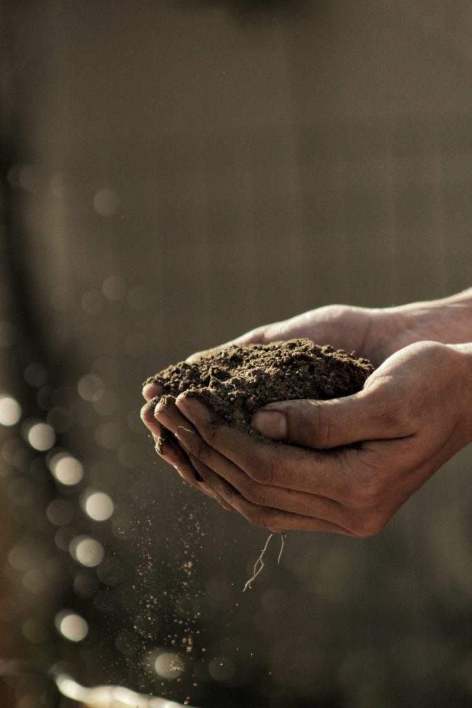 simplenotsimple_motherhood_soil